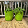 Pair Of Reusable Potato And Vegetable Patio Grow Bags, thumbnail 1 of 12