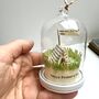Handmade Personalised Nature Poetry Tent Dome, thumbnail 2 of 7