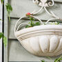 Mondine Antique Style Wall Planter, thumbnail 5 of 5