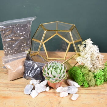 Gold Geometric Terrarium Kit With Succulent Christmas Plant Lover Gift, 6 of 7