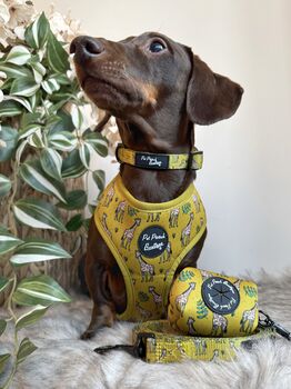 Wild Giraffe Dog Collar With Optional Set, 7 of 7