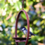 Hanging Bird Feeder Platform Ring, thumbnail 2 of 3