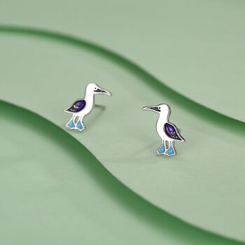 Sterling Silver Blue Footed Booby Stud Earrings, 6 of 11