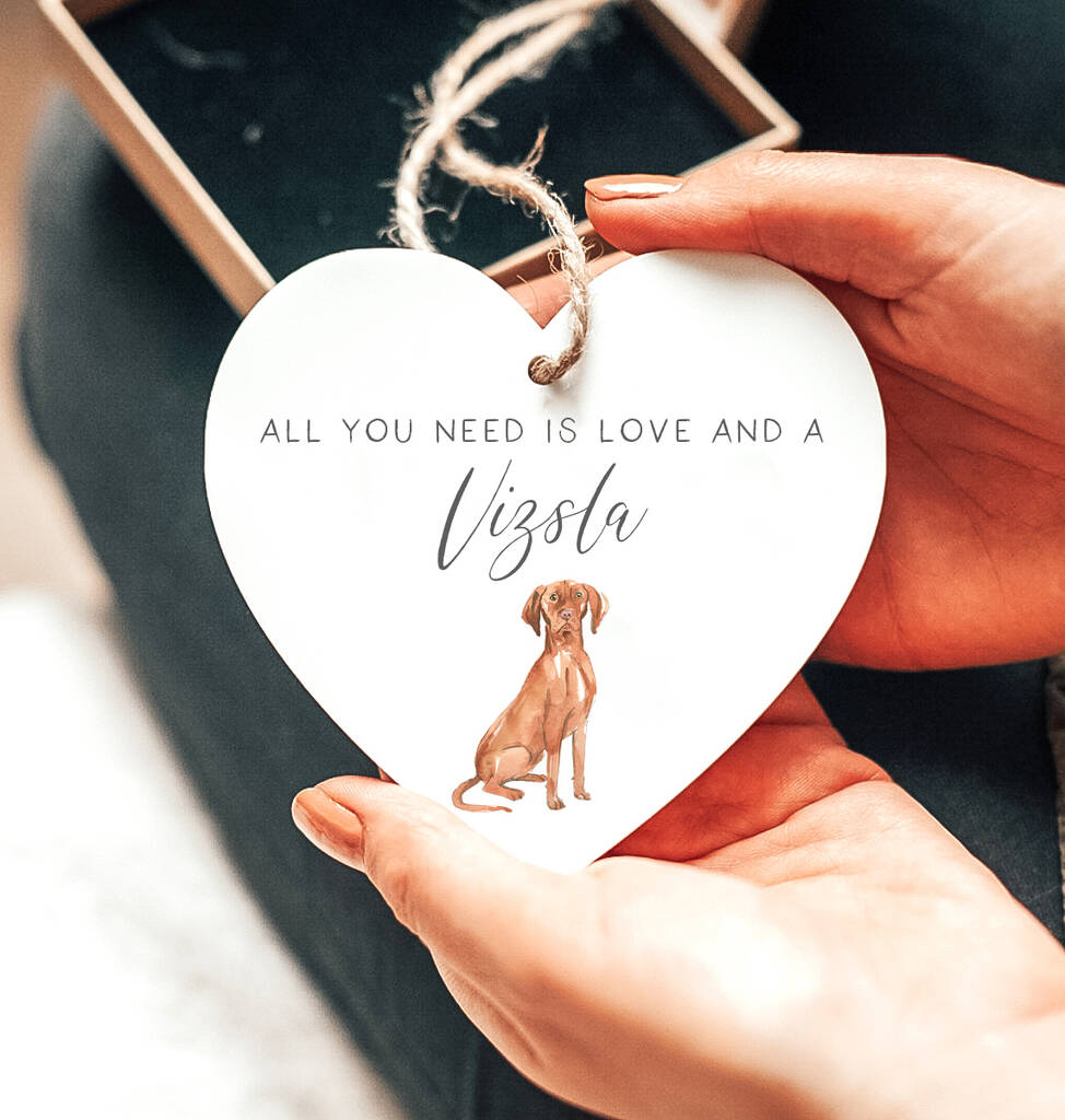 'Love And A Vizsla' Dog Lover Gift