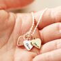 Personalised Family Heart Necklace With Photo Gift Box, thumbnail 2 of 12