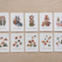 Woodland Number Flash Cards, thumbnail 11 of 12