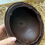 Chocolate Ostrich Egg | Easter Gift, thumbnail 2 of 4