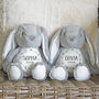 Personalised Bunny Rabbit Plush Toy, thumbnail 3 of 7