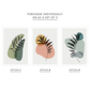 Set Of Three Contemporary Art Silhouette Leaf Prints, thumbnail 3 of 5