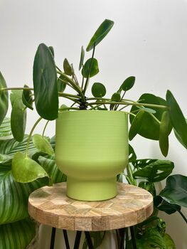 3D Printed Tall Curved Plant Pot With Drainage, 3 of 9