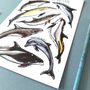 Dolphins Of Britain Watercolour Postcard, thumbnail 8 of 12