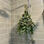 Fresh Shower Eucalyptus Bundle, thumbnail 4 of 9