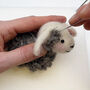 Needle Felting Kit Spring Lambs, thumbnail 7 of 11