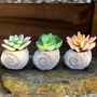 Concrete Shell With Faux Cactus Ornament, thumbnail 2 of 10