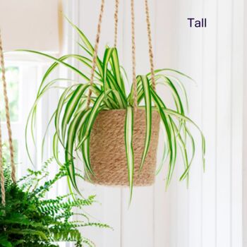 Jute And Seagrass Hanging Planters, 2 of 4