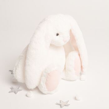 Gift Boxed White And Pink Soft Bunny Toy, 3 of 4