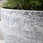 Pack Of Two Modern Planters Pots With Drainage Holes, thumbnail 11 of 12