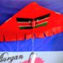Custom Printed Kite. Your Own Picture Or Design On A Large Easy Flying Delta, thumbnail 10 of 12