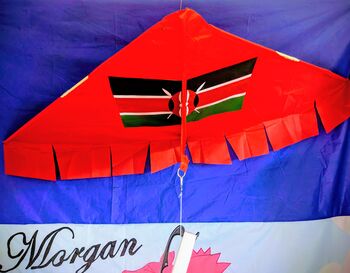 Custom Printed Kite. Your Own Picture Or Design On A Large Easy Flying Delta, 10 of 12