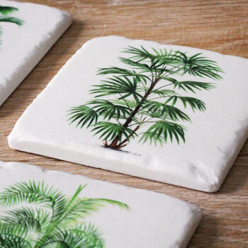 Set Of Four Fern Coasters, 4 of 6