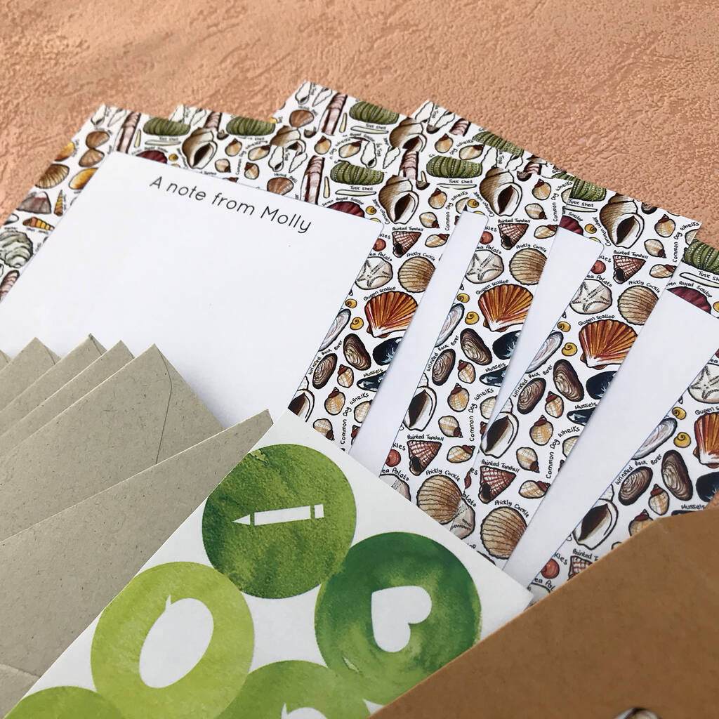 Seashell meaning picture