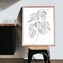Swiss Cheese Plant Line Drawing Print, thumbnail 1 of 5