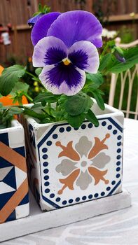 Portuguese Tiled Three Square Pots On Tray, 10 of 11