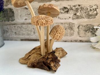 Hand Carved Shitake Wood Mushrooms On Driftwood Base, 10 of 11