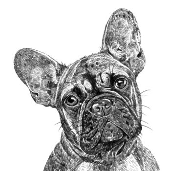 Frenchie Dog Print By Ros Shiers | notonthehighstreet.com