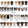 Personalised You And Your Pet To School Backpack, thumbnail 11 of 12