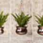 Hammered Copper Hanging Planter – Brass Chain, 17cm, thumbnail 5 of 8