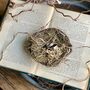 Handmade Nest Ring Bowl, thumbnail 2 of 6