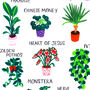 A To Z Plants Bed Room Print, thumbnail 2 of 5