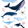 Whale Species Art Print, thumbnail 7 of 7