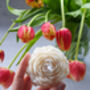 Peony Flower Candle, thumbnail 8 of 9