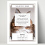 Personalised Pet Loss Cat Memorial Photo Print Wall Art, thumbnail 2 of 5