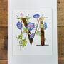 M Is For Morning Glory Illuminated Botanical Print, thumbnail 3 of 6