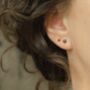 Black Diamond Stud Earrings, thumbnail 7 of 12