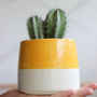 'Crazy Plant Lady' Ceramic Indoor Plant Pot, thumbnail 2 of 7