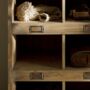 Tall Wooden Chedworth Welly Locker, thumbnail 3 of 3