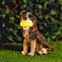 Solar Light Garden Dog Ornament With Tennis Balls LED, thumbnail 9 of 9