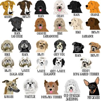 Personalised Dog Tea Towel, Many Breeds Available, 7 of 11