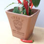 Engraved Mexican Skull Chilli Pot And Seeds, thumbnail 1 of 6