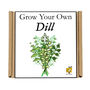 Gardening Gift. Grow Your Own Herbs. Dill Seeds Kit, thumbnail 4 of 4