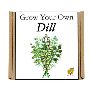 Gardening Gift. Grow Your Own Herbs. Dill Seeds Kit, 4 of 4