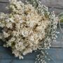 Wedding Dried Flower Bouquet Boho Purity Cloud, thumbnail 3 of 3