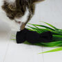 Eco Kitty Luxury Organic Catnip Eco Hamper For Cats, thumbnail 6 of 12