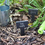 Funny Slate Plant Markers Set Of Six, thumbnail 6 of 6