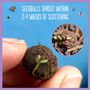 Metal Hedgehog Highway Gift To Help Hedgehogs Roam Between Gardens, thumbnail 7 of 9