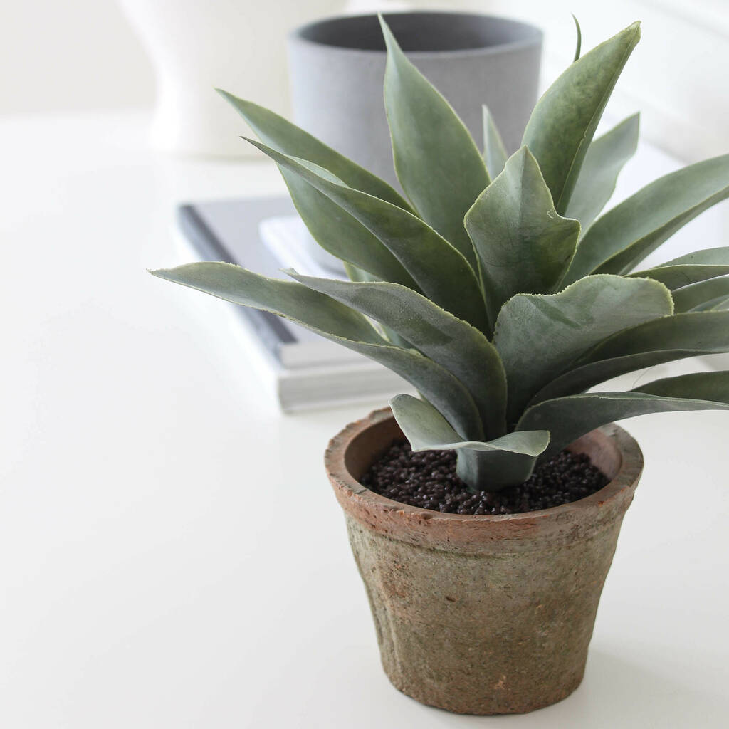 Succulent Faux Potted Plant By Marquis & Dawe | notonthehighstreet.com